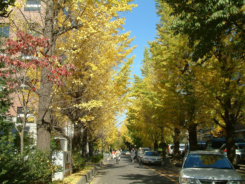 写真 動画で見る京都大学 京都大学