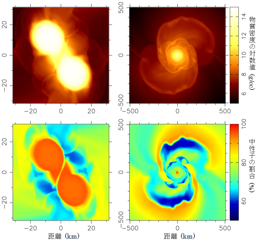 金やウランなどの重い元素は中性子星の合体で作られた可能性が高い －鉄より重い元素の起源を数値シミュレーションで解明－