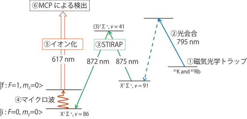 極低温分子を使い電子と陽子の質量比の不変性の検証に成功