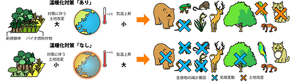 生物多様性保全と温暖化対策は両立できることが判明 －生物多様性の損失は気候安定化の努力で抑えられる－