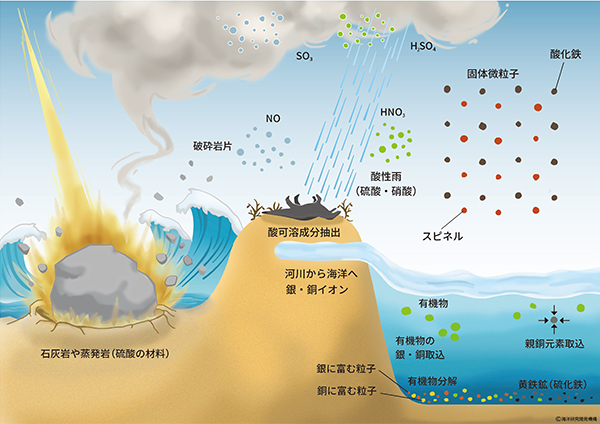 隕石衝突後の環境激変の証拠を発見 白亜紀最末期の生物大量絶滅は大規模酸性雨により引き起こされた 京都大学