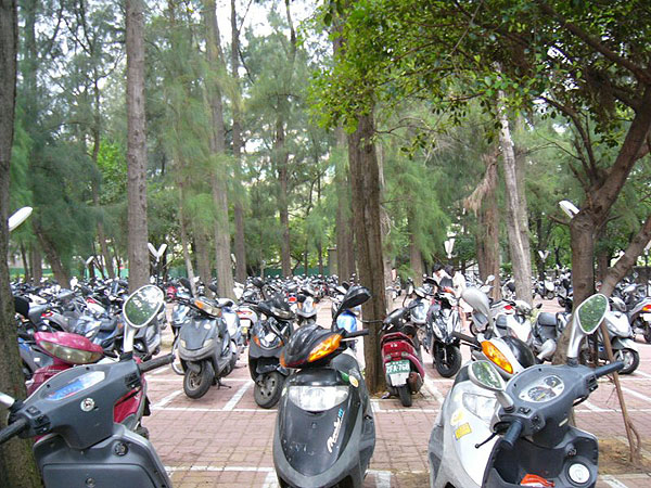 清華大学の構内のバイク置き場	
