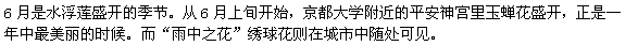 6月には、睡蓮が咲きます。京都大学の近くでは平安神宮で、見頃は6月上旬からです。花菖蒲も平安神宮にあります。紫陽花は雨の花で、町中で見ることができます。