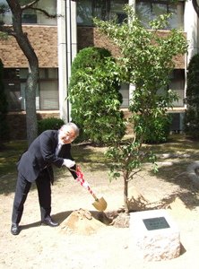 ゆずの木の植樹