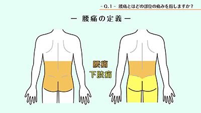 文章を入れてください