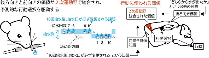 文章を入れてください