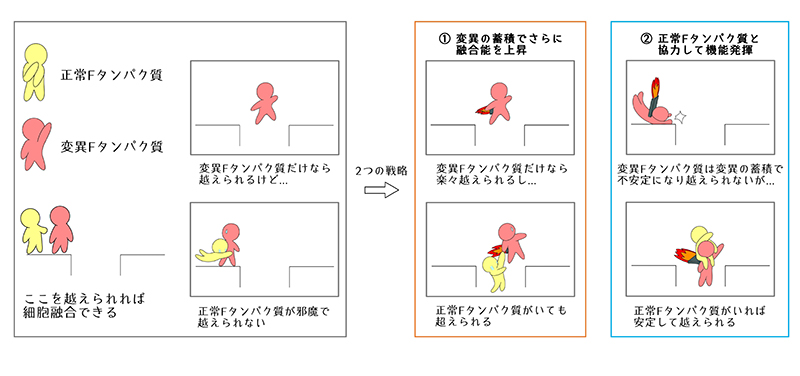 ウイルス性急性脳症