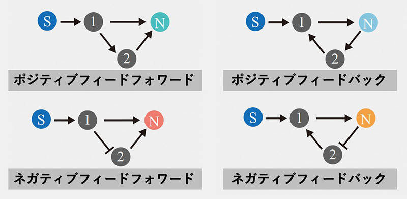 文章を入れてください