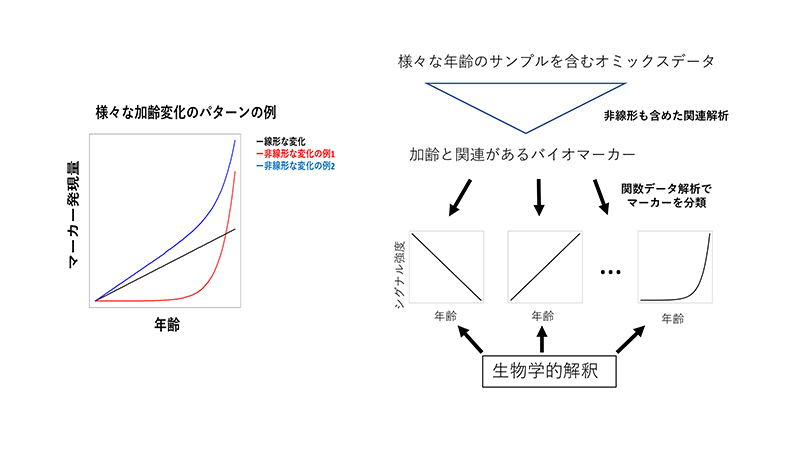 文章を入れてください