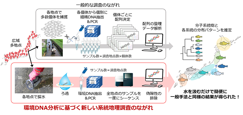 文章を入れてください