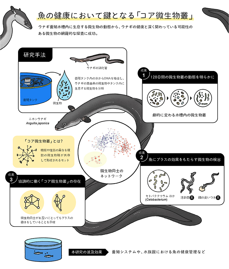 文章を入れてください