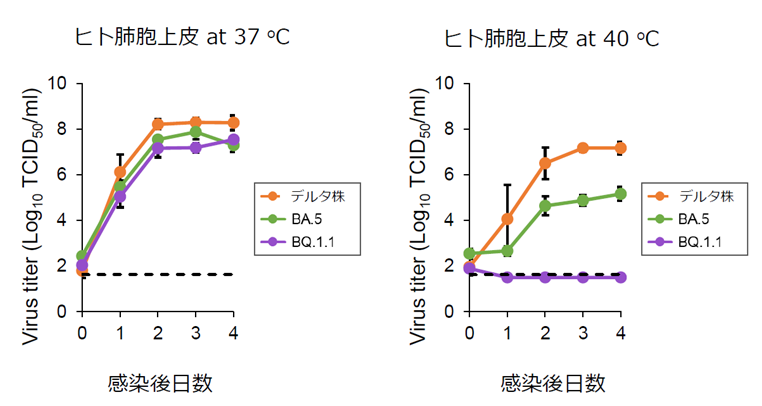 文章を入れてください