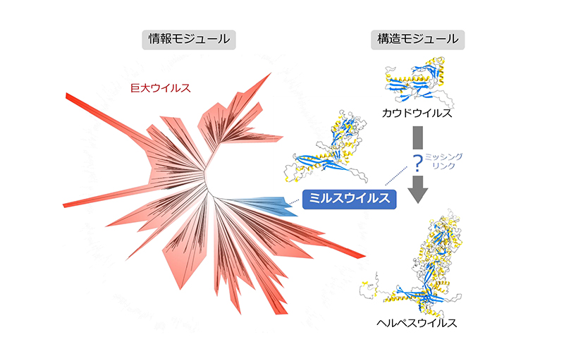 文章を入れてください