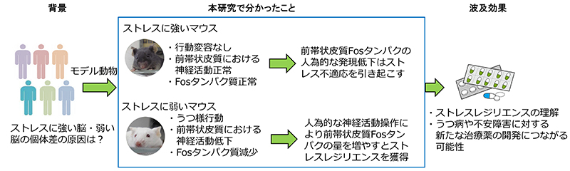 文章を入れてください