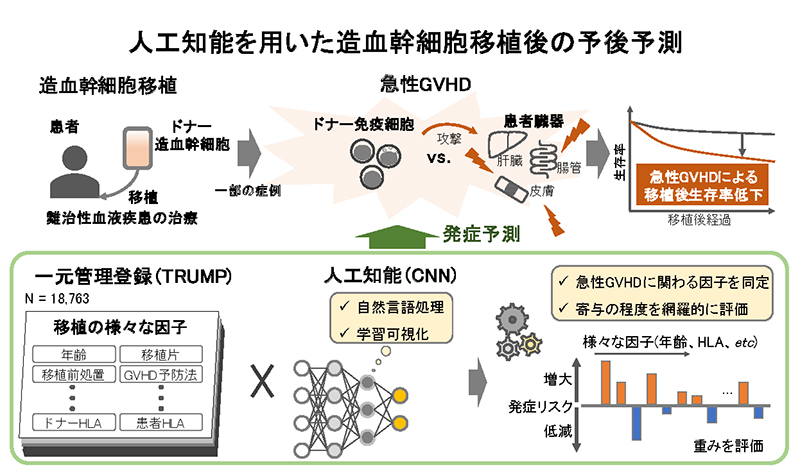 文章を入れてください