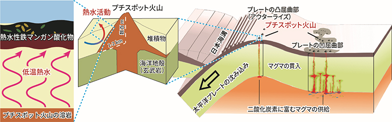 文章を入れてください