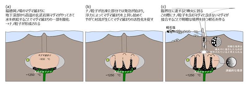 文章を入れてください