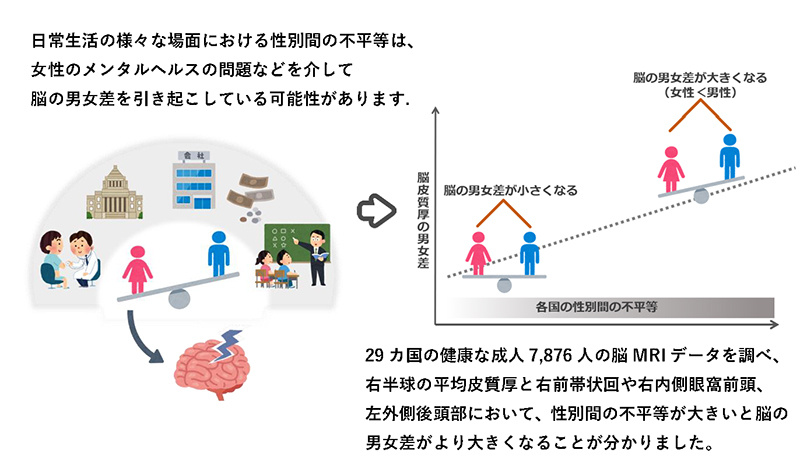 文章を入れてください