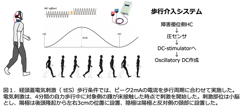 文章を入れてください