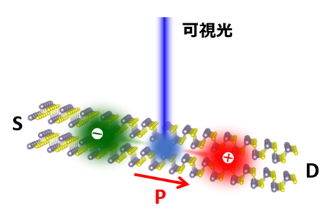 文章を入れてください