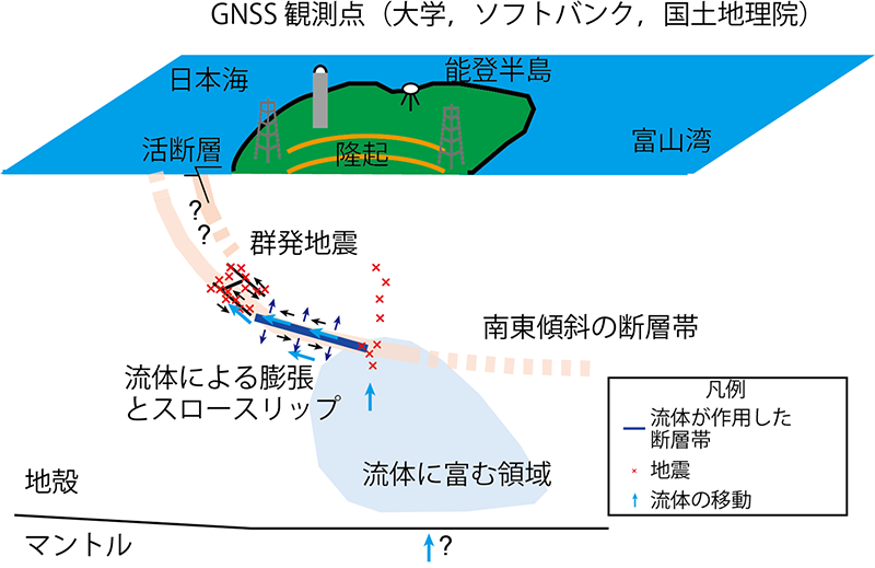 能登半島の群発地震のメカニズムの模式図。GNSSデータの解析から、地殻深部の流体が断層帯内を拡散することにより断層帯の膨張とスロースリップを引き起こし、さらにその浅部で活発な地震活動を長期にわたって引き起こしていることが示唆されます。