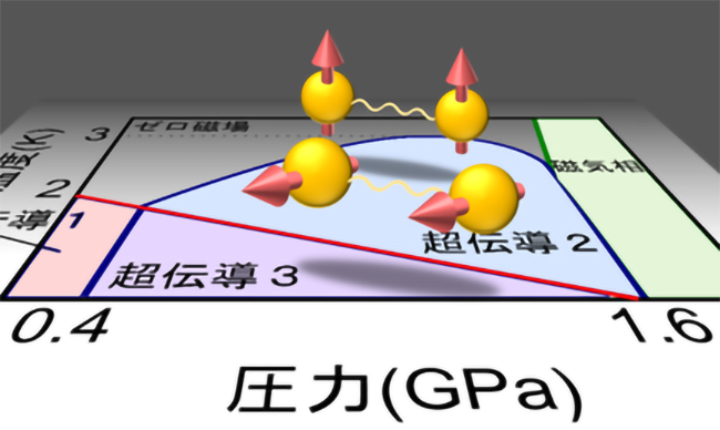 文章を入れてください