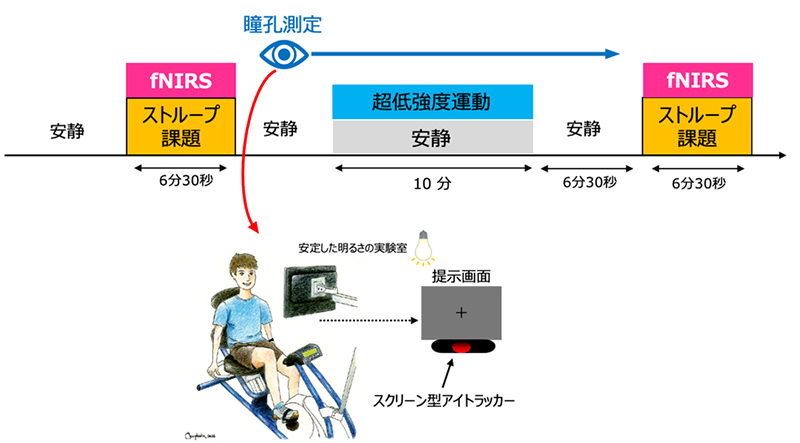 文章を入れてください