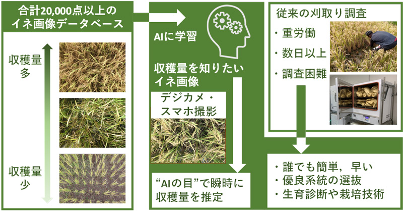 文章を入れてください