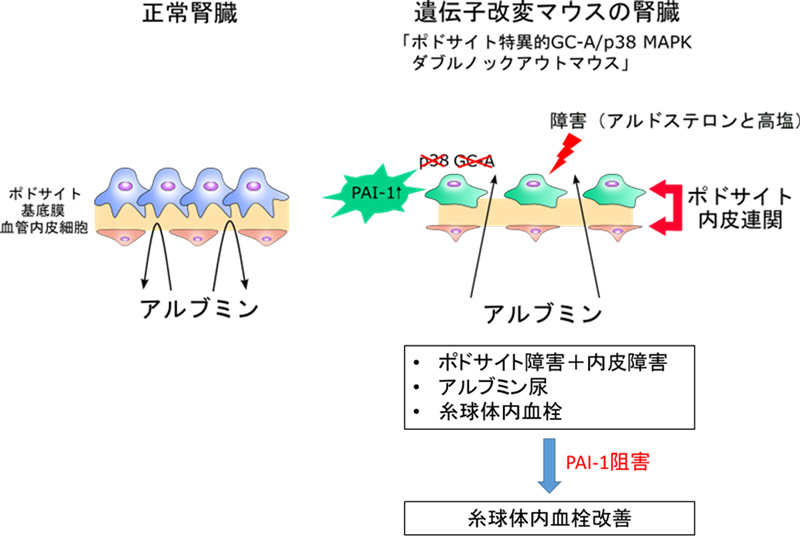 文章を入れてください