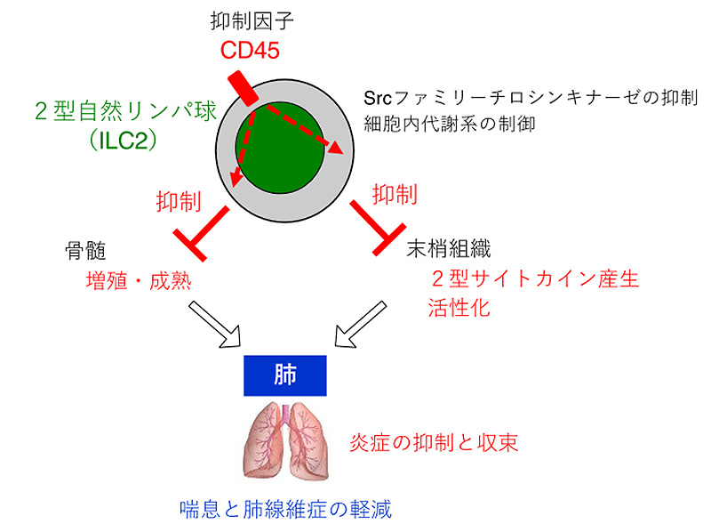 文章を入れてください