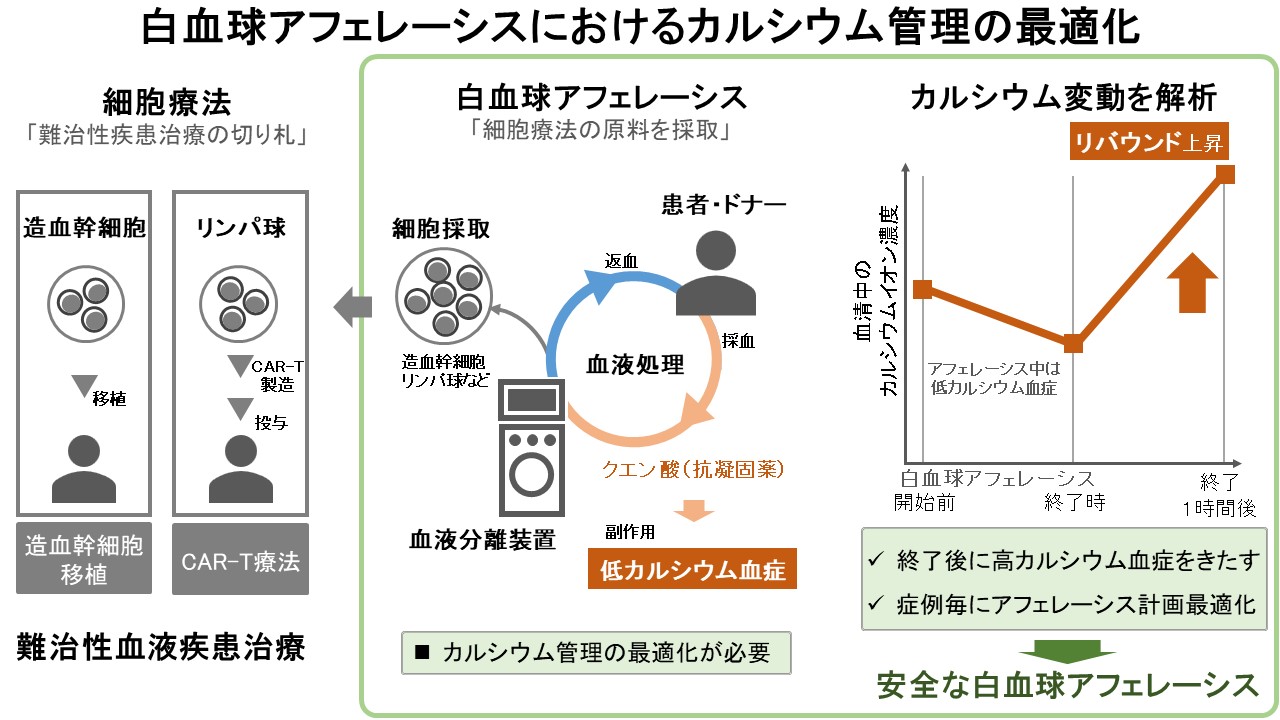 文章を入れてください