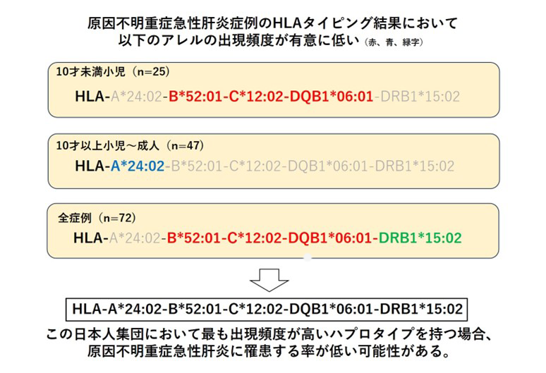 文章を入れてください