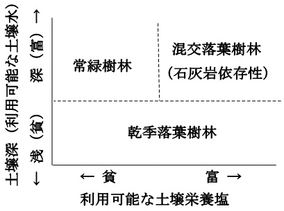 土に依存した多様な東南アジア熱帯季節林～タイ熱帯季節林の機能的多様性～