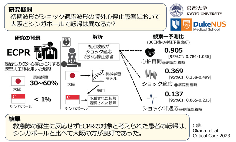 文章を入れてください