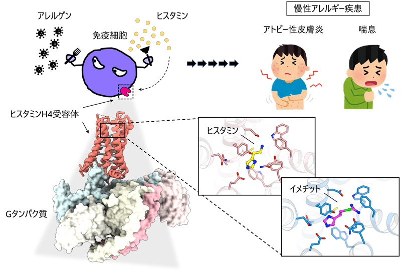 文章を入れてください