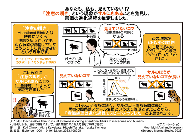 文章を入れてください