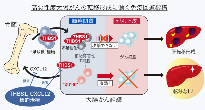 文章を入れてください