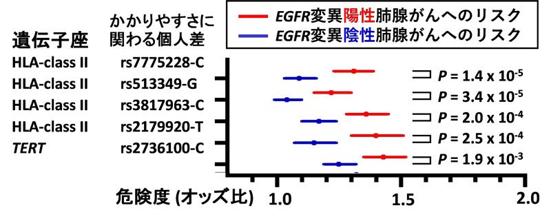 文章を入れてください