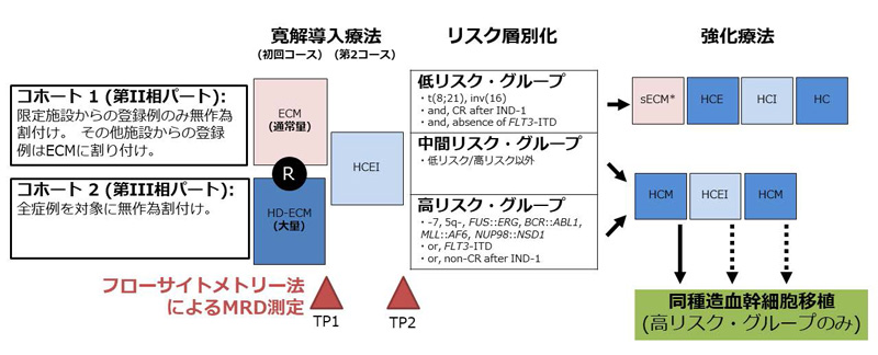 文章を入れてください