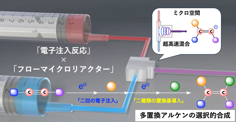 文章を入れてください