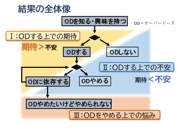 市販薬乱用に関して投稿された質問の分析～Yahoo!知恵袋内テキストデータの定性分析～