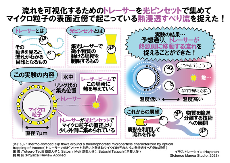 文章を入れてください