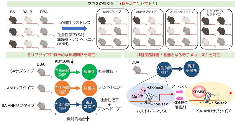 文章を入れてください