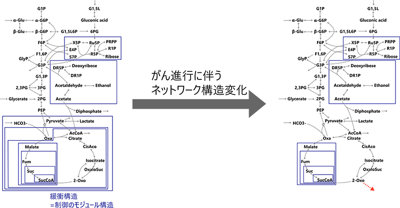 文章を入れてください