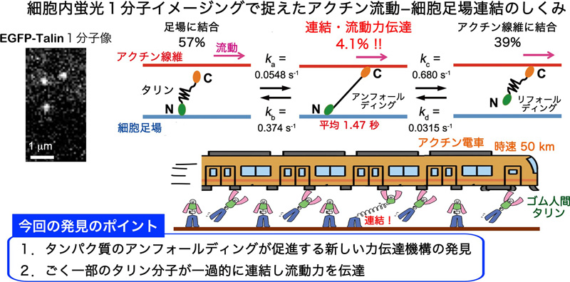 文章を入れてください