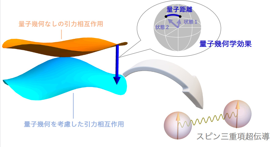 文章を入れてください