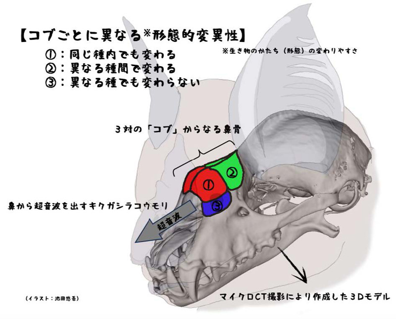 文章を入れてください