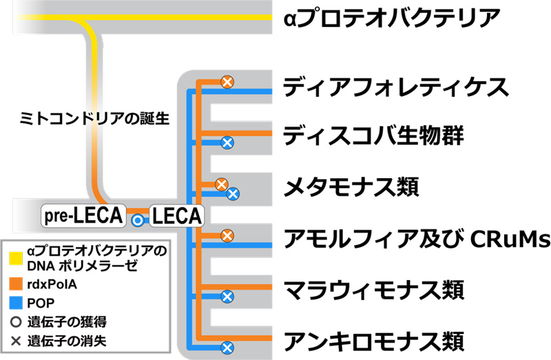 文章を入れてください