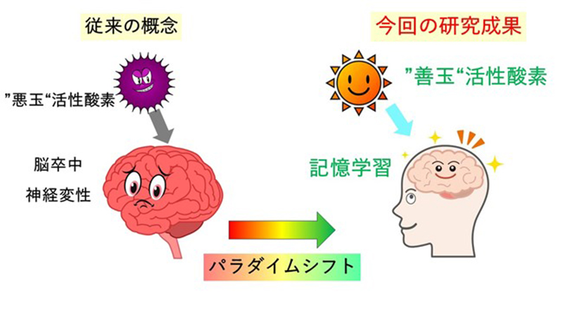 文章を入れてください