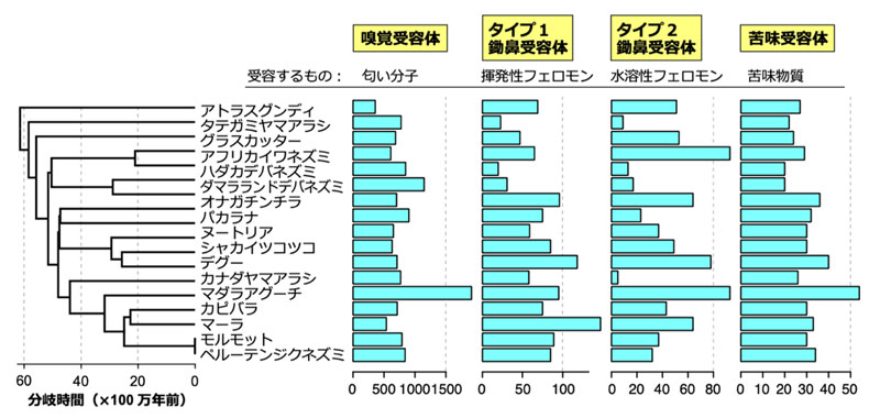 文章を入れてください